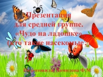 Презентация для средней группе Чуда на ладошке