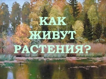 Презентация по окружающему миру Как живут растения