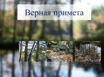 Презентация по предмету Чтение на тему Г. Ладонщиков Верная примета (2 класс)