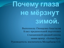 Презентация исследовательского проекта Почему глаза не мерзнут зимой? (в КПП)