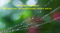 Презентация - Мастер класс по макрофотографии