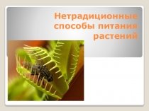 Нетрадиционные способы питания растений