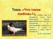 Что такое любовь? Основные черты любви