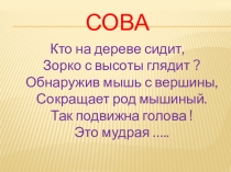 Презентация к занятию по внеурочной деятельности в 1 классе Хозяйка ночного леса - сова.