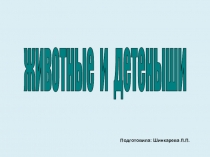 Животные и детеныши