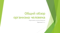 Презентация к уроку биология на тему