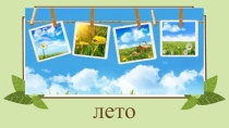 Пришкольный лагерь отряд  Веснушки