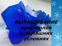 Презентация Выращивание кристаллов в домашних условиях