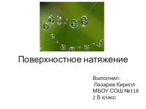 Презентация по окружающему миру