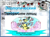 Соцальный проект по окружающему миру Покормите птиц зимой