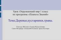 Презентация по окружающему миру Деревья.кустарники,травы.