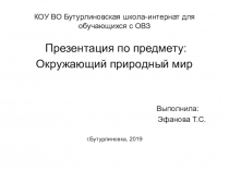 Презентация по окружающему природному миру Зимующие птицы