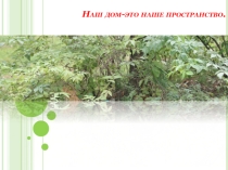 Творческий проект по ИЗО Наш дом (6 класс)