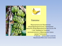 Презентация по окружающему миру (3 класс)