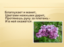 Презентация к уроку изобразительного искусства