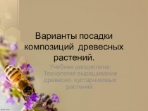 Презентация по учебной дисциплине Технология выращивания древесно- кустарниковых растений