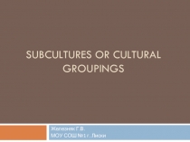 Презентация к уроку по темеСубкультуры