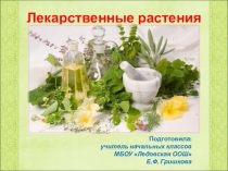 Классный час Лекарственные растения