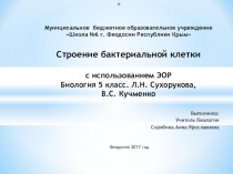 Презентация по биологии на тему Строение бактериальной клетки