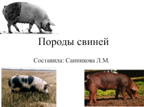 Презентация по сельскохозяйственному труду
