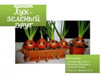 Презентация проекта по биологии Лук