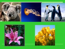 Организм - единое целое