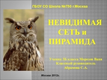 Презентация Невидимые сети и пирамида