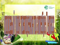 Презентация по алгебре на темуМатематика и экология