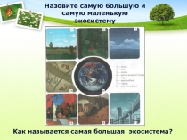 Урок экологии по теме: Биосфера