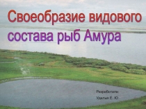 Презентация Своеобразие видового состава рыб Амура
