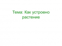 Презентация ро окружающему миру. Тема: Как устроено растение