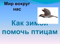 Как зимой помочь птицам.