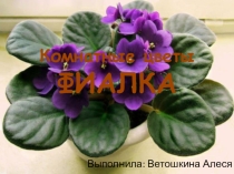 Презентация Комнатные цветы ФИАЛКА