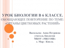 Повторение и систематизация знаний у учащихся на тему Органы растений
