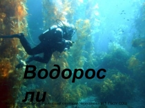 Водоросли