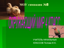 Презентация по окружающему миру на темуПрирода степи