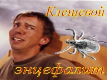 Презентация по ОБЖ по теме Клещевой энцефалит