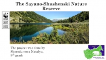 Проект по английскому языку по теме 100 ЛЕТ ЗАПОВЕДНОЙ СИСТЕМЕ РОССИИ