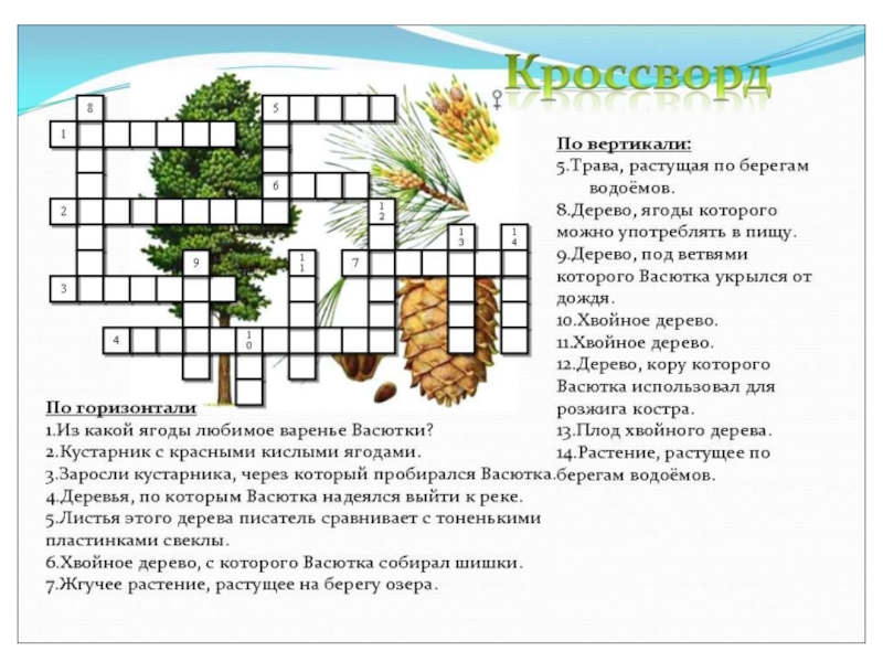 Презентация по рассказу Виктора Астафьева