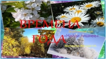 Презентация. Дидактическая игра:  Найди лишнее