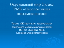 Окружающий мир Животные и насекомые в живой природе