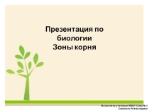 Презентация по биологии Зоны корня