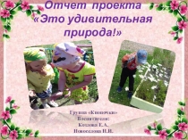 Презентация к отчету проекта Эта удивительная природа