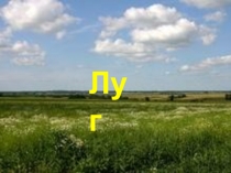 Презентация по экологии Экосистема ЛУГ