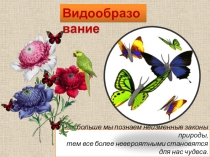 Презентация по биологии на тему Видообразование (9 класс).