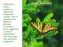 Бабочки.
