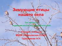 Проект-презентация Зимующие птицы села Орехово (4класс)