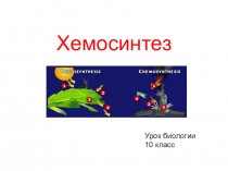 Презентация к уроку биологии в профильном классе по теме Хемосинтез