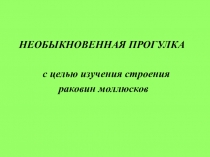 Необыкновенная прогулка для изучения раковин моллюсков