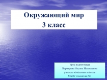 Презентация по окружающему миру на тему Экосистема озера (3 класс)